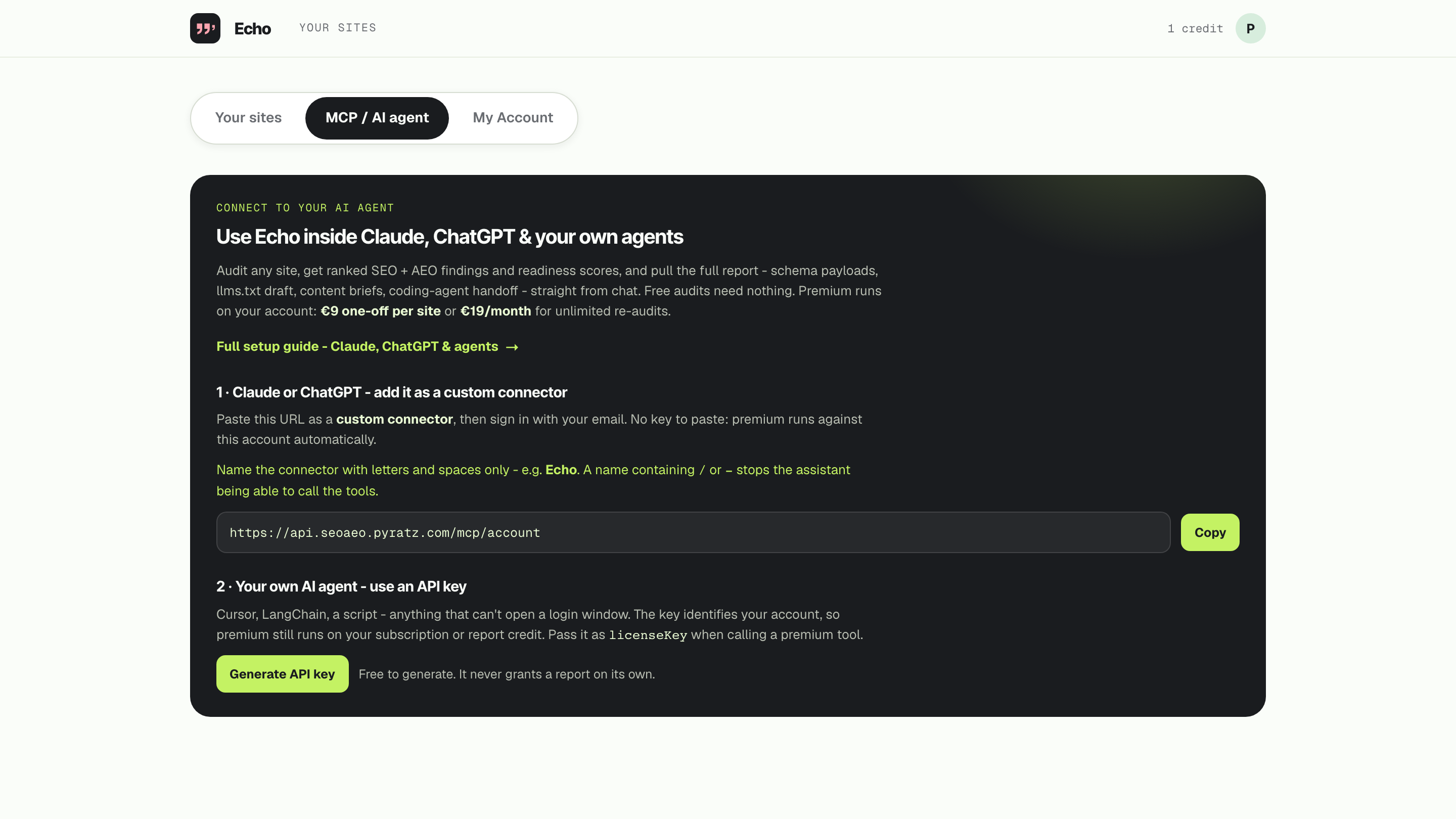 Echo MCP setup